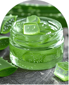 Aloe